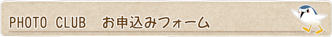 PHOTO CLUBߥե